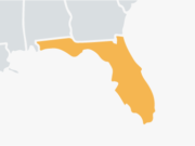 Florida Yellow