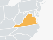 Virginia Yellow